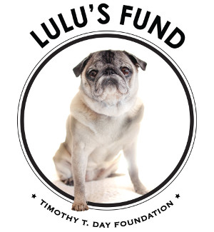 Timothy T. Day Foundation Lulu's Fund Logo