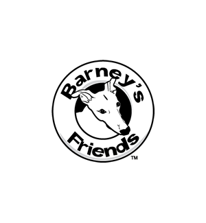 Barney's Friends Logo